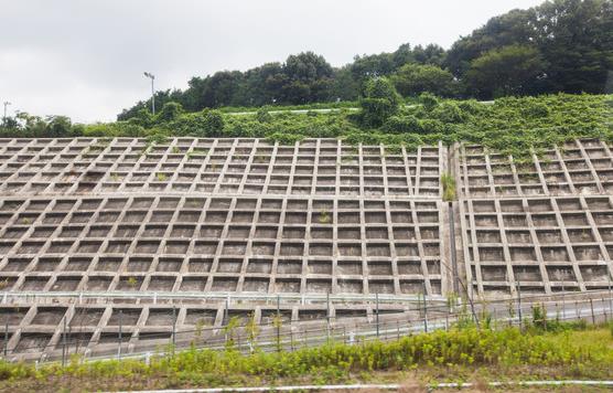 護(hù)坡路沿石塑料模具